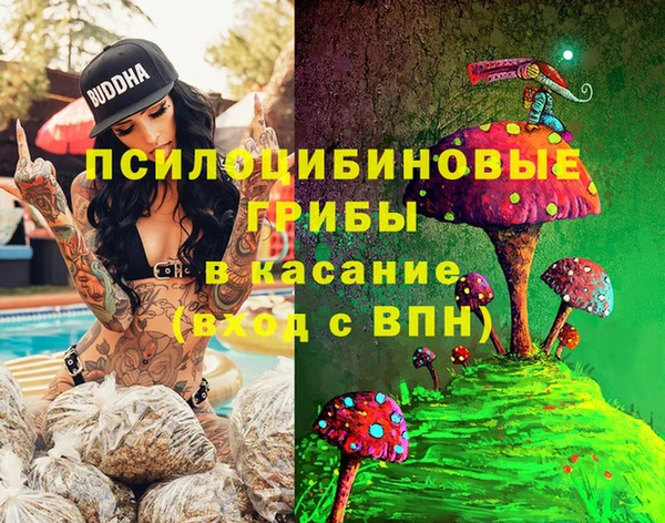 ALPHA PVP Покров