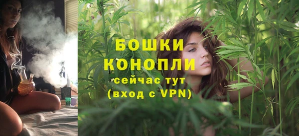 дживик Протвино