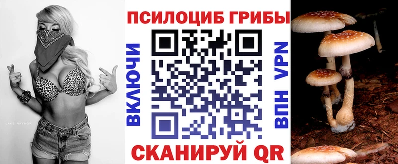 дарк нет клад Белый Галлюциногенные грибы прущие грибы